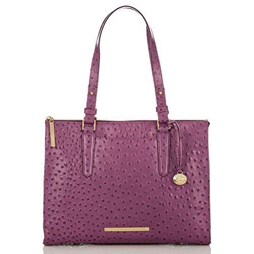 NEW AUTHENTIC BRAHMIN ANYWHERE SHOULDER TOTE (Fig Normandy)