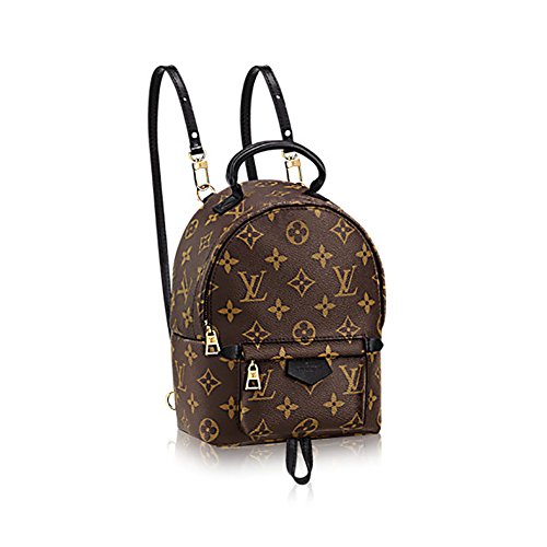 Authentic Louis Vuitton Monogram Canvas Palm Springs Backpack Mini Handbag Article: M41562 Made in France