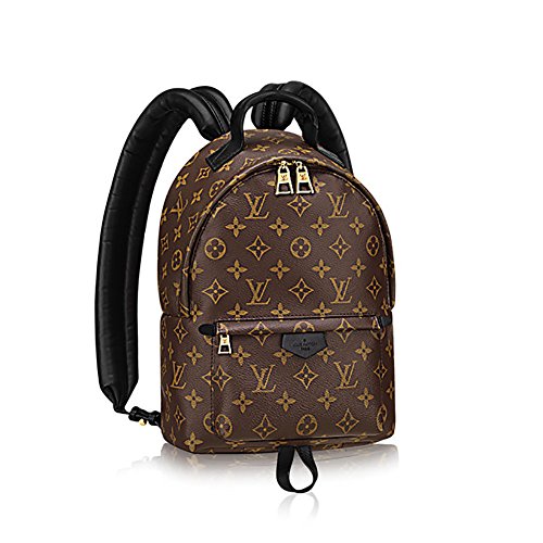 Authentic Louis Vuitton Monogram Canvas Palm Springs Backpack PM Handbag Article: M41560 Made in France